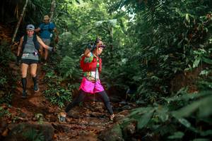 BIB: 
                            <button type="button" onclick="openModal(24858734)" class="btn btn-primary btn-sm float-right btn-popup" data-toggle="modal" data-target=".modal-high-quality">
                        <i class="fas fa-shopping-cart"></i> Add to Cart
                    </button>
                                            <button type="button" onclick="isThisMe(24858734, true)" class="btn btn-success btn-sm float-right btn-popup btn-isme hidden" data-toggle="tooltip" data-placement="bottom" title="นี่คือรูปของคุณใช่ไหม คลิกที่นี่เพื่อเอาเข้าอัลบั้ม">
                        <i class="fas fa-plus"></i> Add to album
                    </button>
                    <button type="button" onclick="isThisMe(24858734, false)" class="btn btn-warning btn-sm float-right btn-popup btn-isnotme hidden">
                        <i class="fas fa-ban"></i> Remove from album
                    </button>